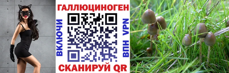 МЕГА сайт  цена   Балей  Псилоцибиновые грибы прущие грибы 